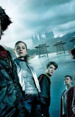 Гарри Поттер и кубок огня