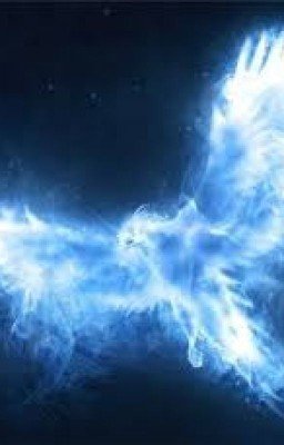 Заклинания из мира Гарри Поттера