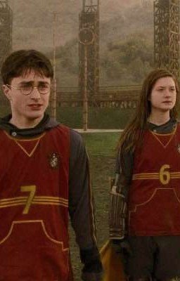 Родственные души, Гарри и Джинни