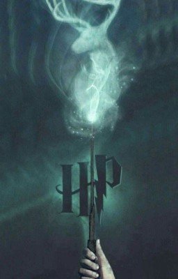 Гарри Поттер