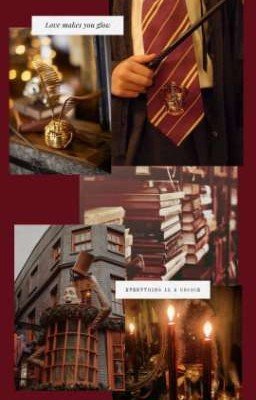 Новенькие?...Из России? 