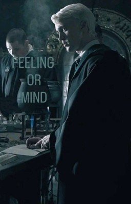 Чувство или разум