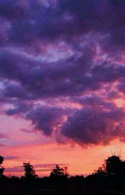 а я тебя...не люблю