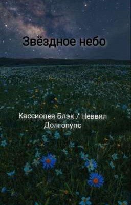 Звёздное небо 