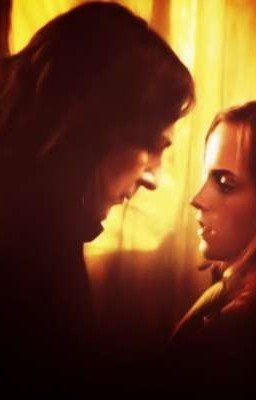 Ночные Встречи