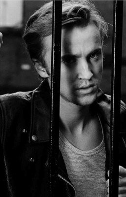 Посетительница