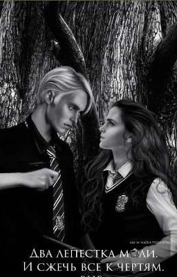 Два лепистка моли. И сжечь всё к чертям