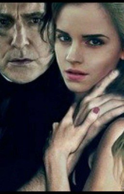 Тайная комната 