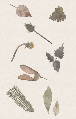 Услышишь ли ты мою историю, незнакомец?