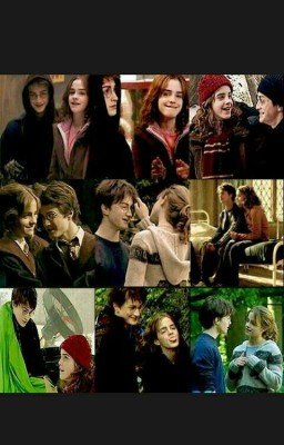 Забытая любовь