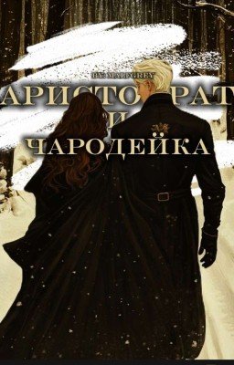 Аристократ И Чародейка