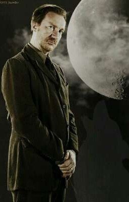 Двадцать три