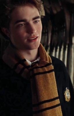 Мы встретились в Хогвартс-экспрессе