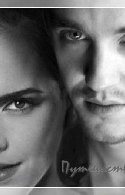 Путешествие домой