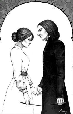 Необычный Мир