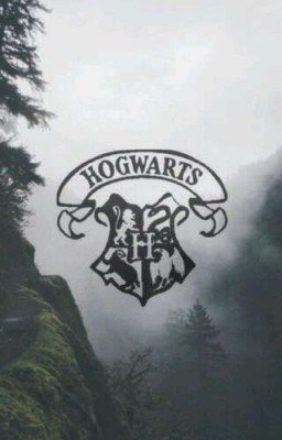 Хогвартс. Мечта или зря ввязалась в магию?