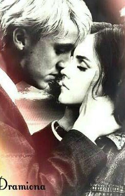 Не возможная любовь