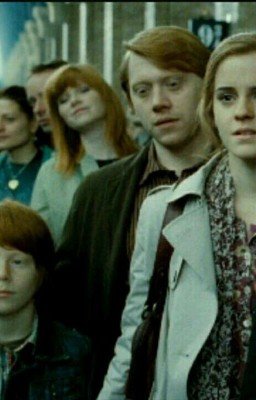 Как Рон и Гермиона