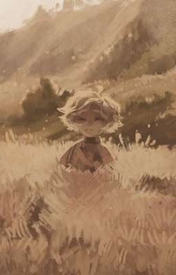 Мальчик в поле