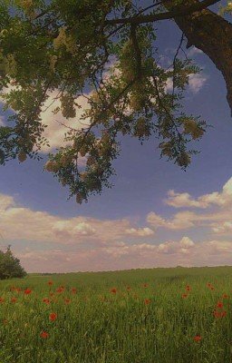 Атака титанов. Твоя история