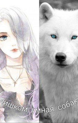 слишком умная Волчица