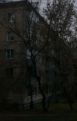 Сукины дети