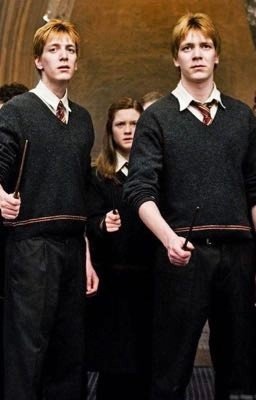 Любовь слишком жестока