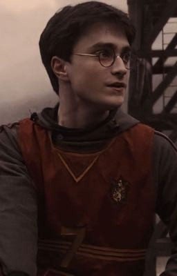 Ты мне нравишься Гарри...