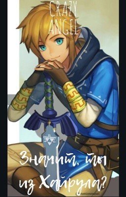 Значит, ты из Хайрула? (заморожено)