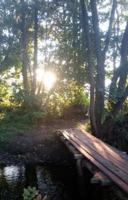 у меня гетерохромия... 