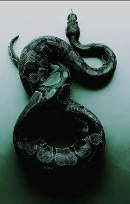 Всё же змея, ты, или человек?