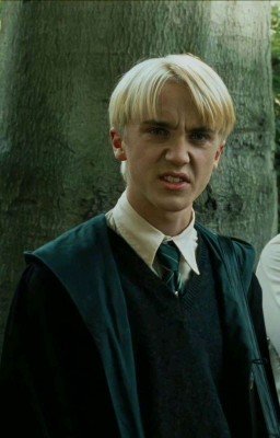 -Ненавижу тебя, Малфой!