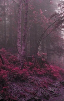 Долина снов