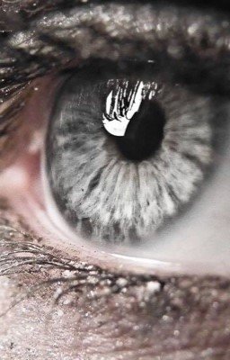 Серебряные глаза