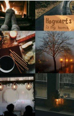 Моя история: Хогвартс и золотая четверка🌟🌟🌟🌟