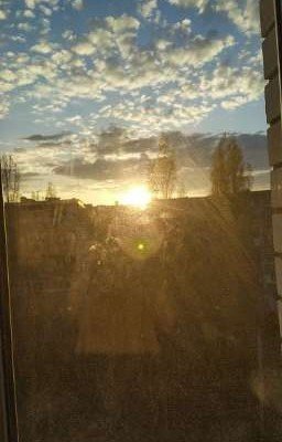 Наши общие закаты