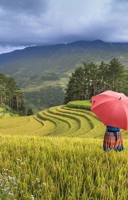 Письма из вселенных