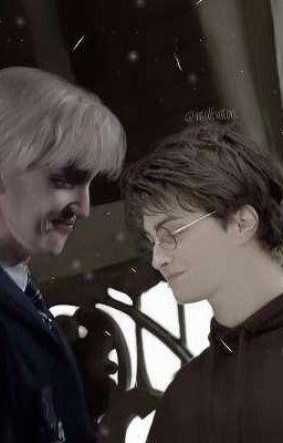 мой Поттер) 