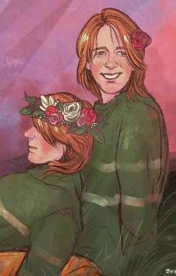 Моё Солнышко