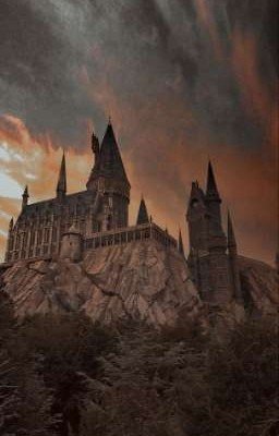 Красота в глазах смотрящего||||| Фред Уизли 