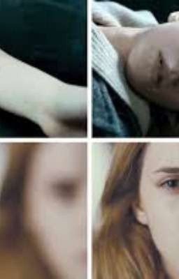 Не Совершенство. Начало