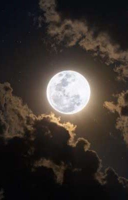 ♡?:Цветик-патронус для нас всех♡