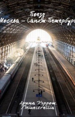 Поезд Москва - Санкт-Петербург