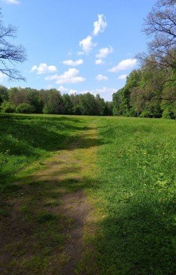 Лето в пионер-лагере