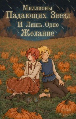 Миллионы падающих звезд и лишь одно желание (ОлиКасе)