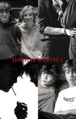 ночная бабочка