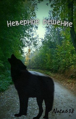 НЕВЕРНОЕ РЕШЕНИЕ