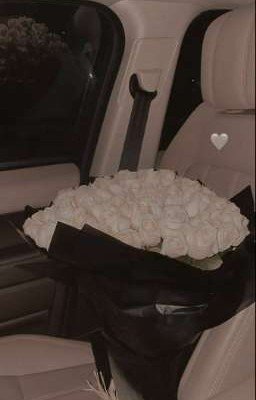 РАНЕННЫЕ 🕊