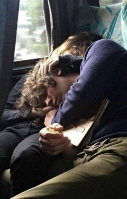 •несовместимые•