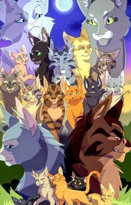 Стихи и песни по КВ.